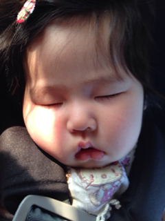 image-20140101080855.png